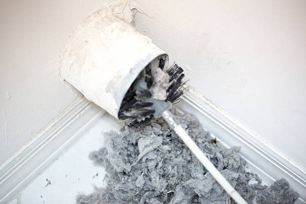 Best HVAC Duct Inspection Services  in Waimea, HI